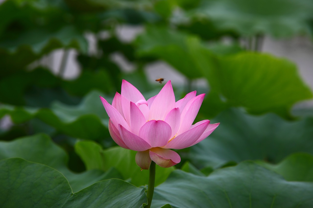 沫之夏 第18页